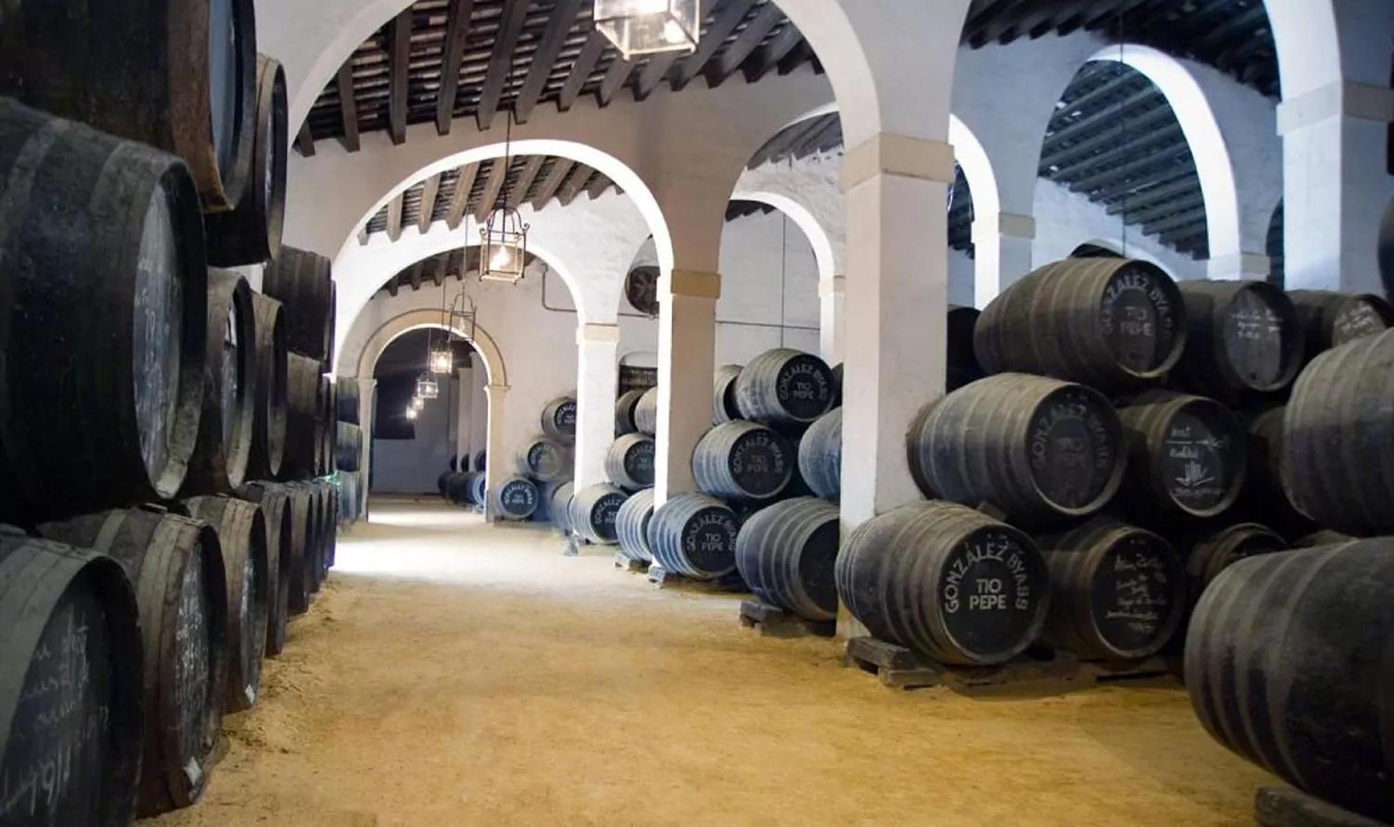 Atico Rianal Villa Jerez de la Frontera Exterior photo